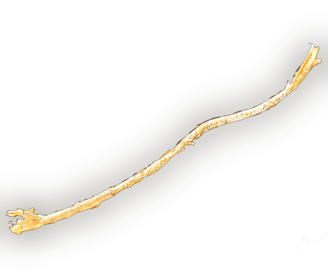 stick image